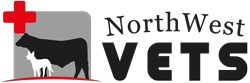 NorthWest Vets Retina Logo